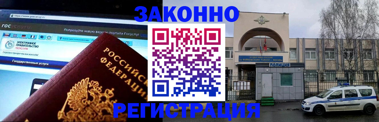 временная регистрация поиск в Курской области